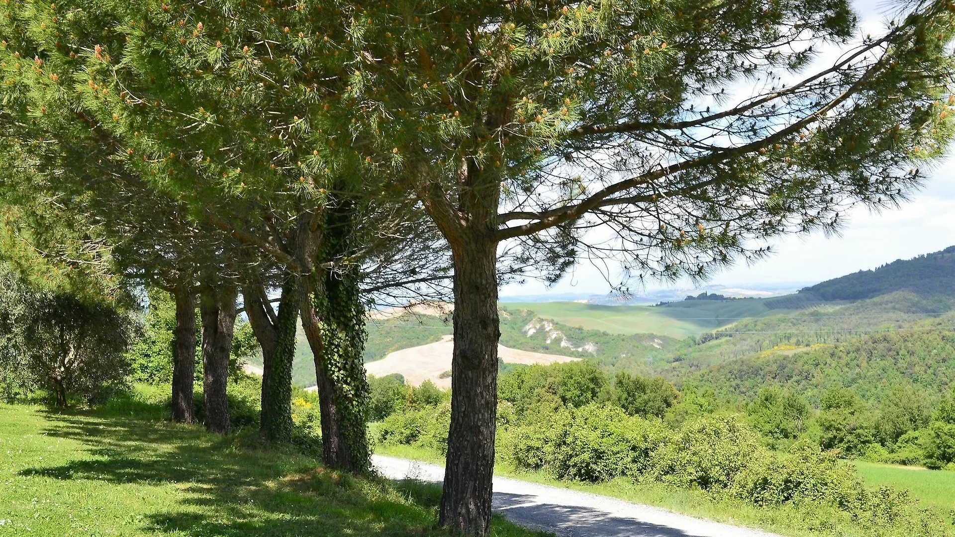 Apartment With One Bedroom In Volterra, With Wonderful Mountain View, Volterra